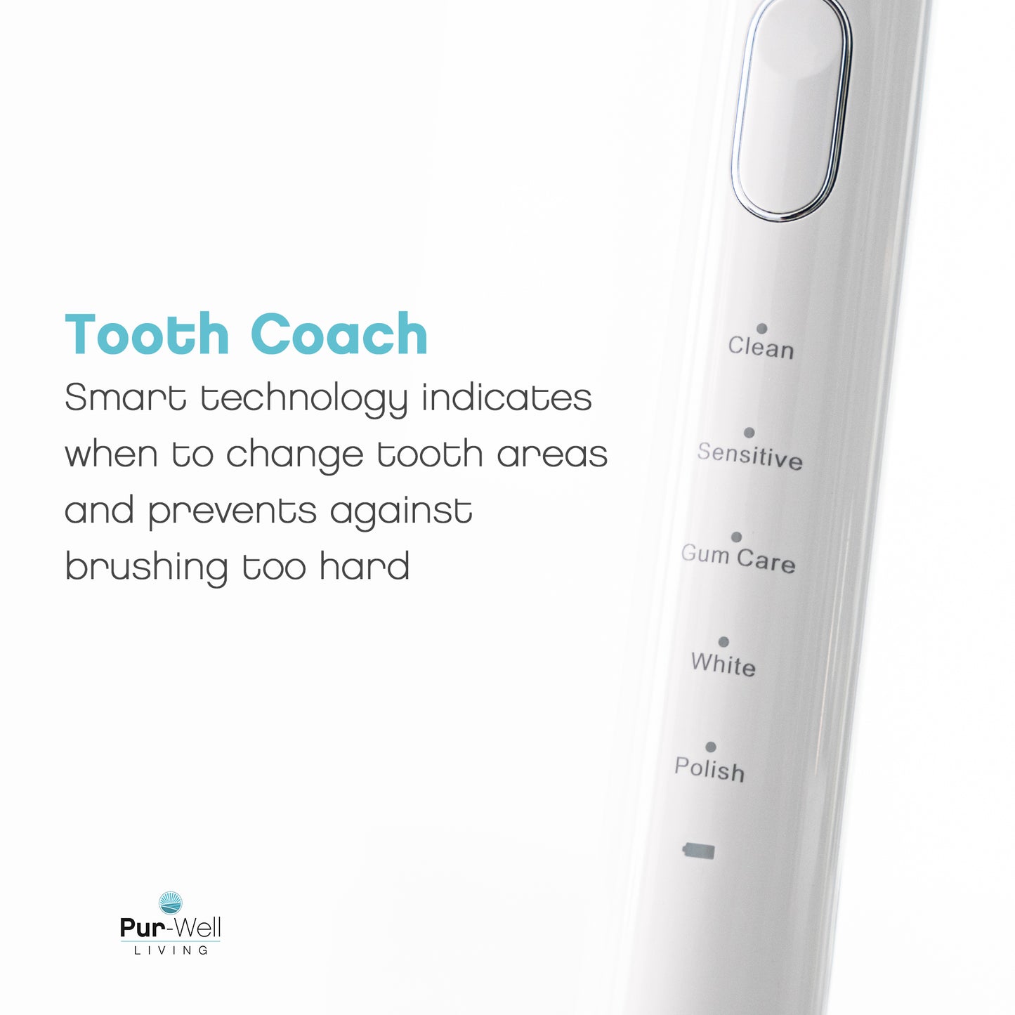 Pur - Hydro Clean Toothbrush - Pur - Well Living